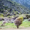 2007.04.01. - Samothraki